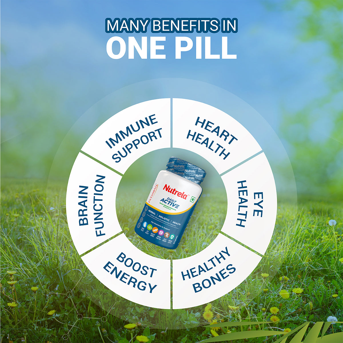 PAT NUTRELA DAILY ACTIVE CAPSULE 750 MG