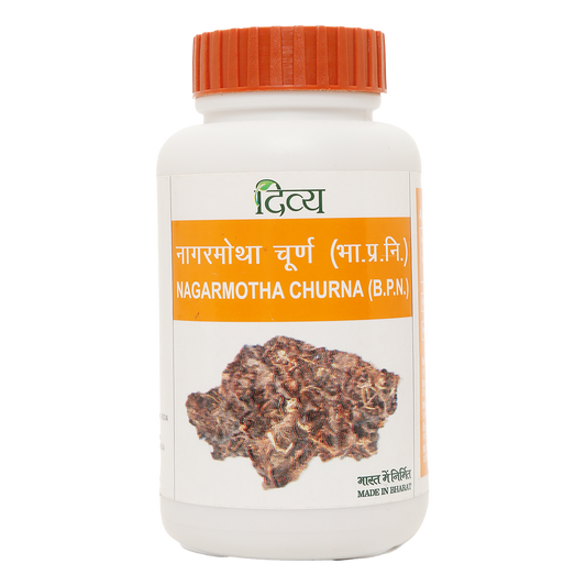 NAGARMOTHA CHURNA 100 GM